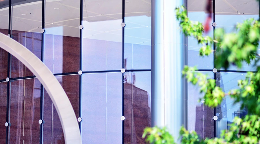 privacy window film Brisbane